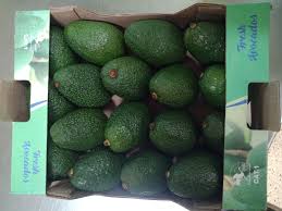 авокадо зеленое