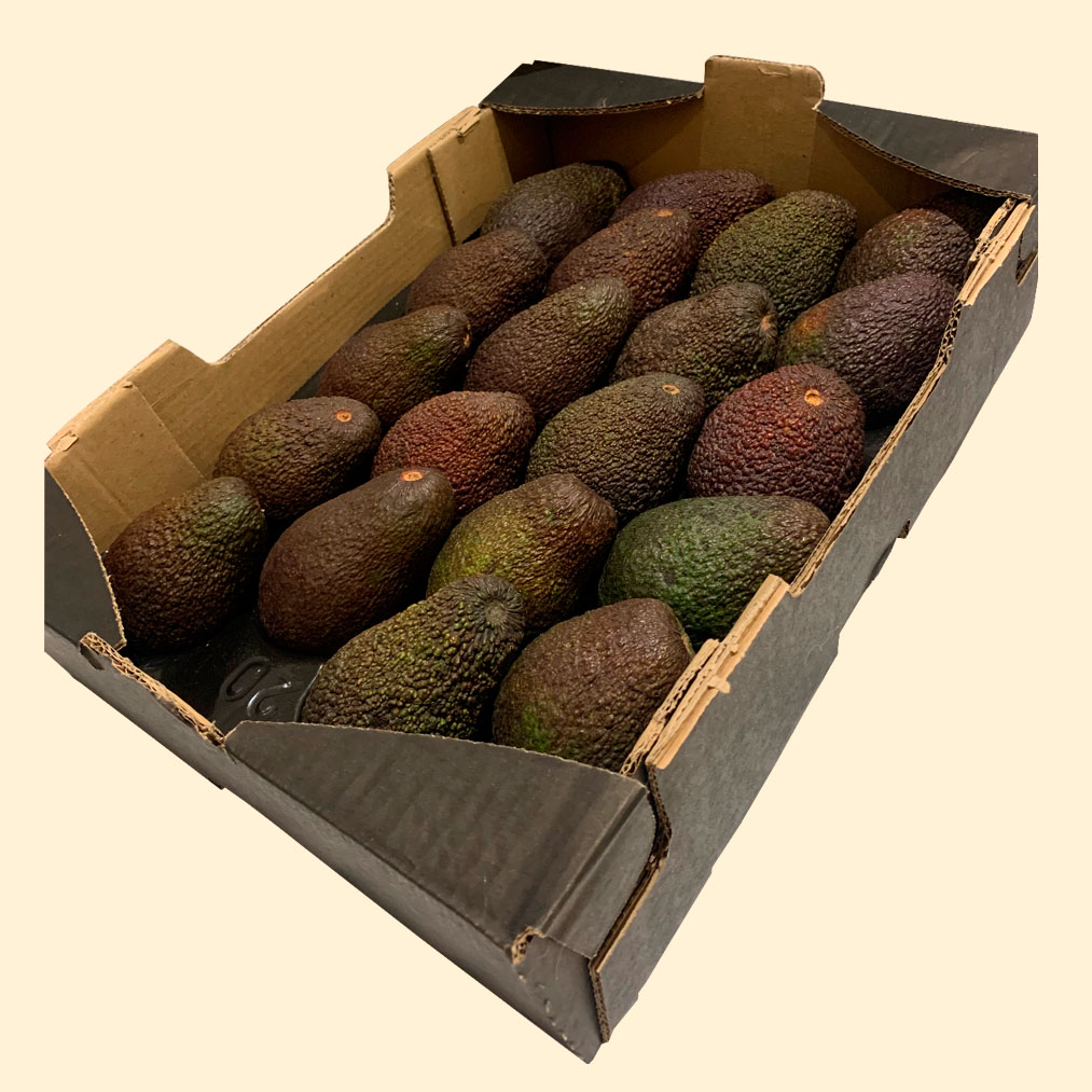 авокадо хасс