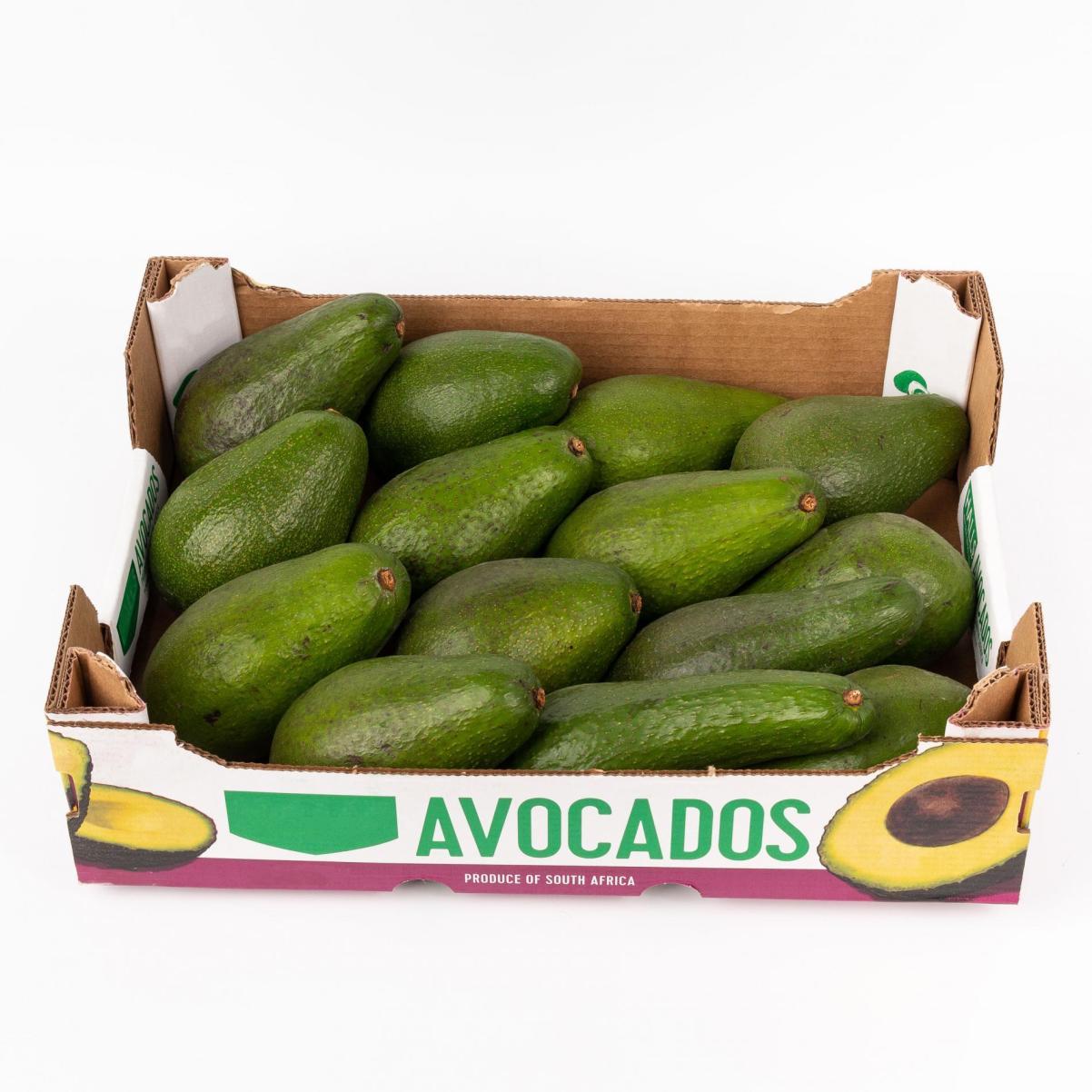 авокадо зеленое