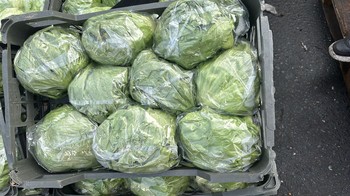 салат айсберг