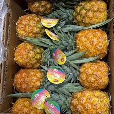 ананас голд