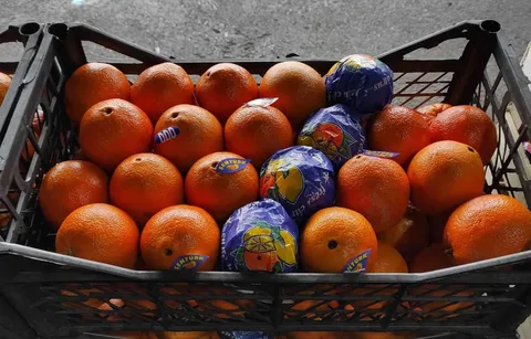 апельсин красный