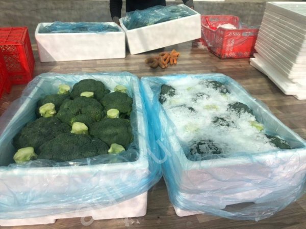 капуста брокколи