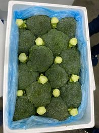 капуста брокколи