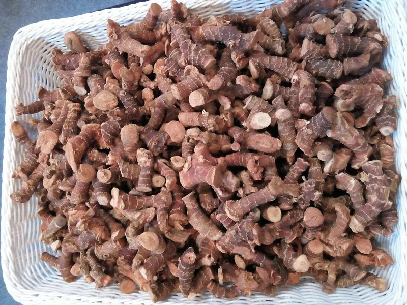 галангал корень