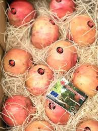 гранат без косточки