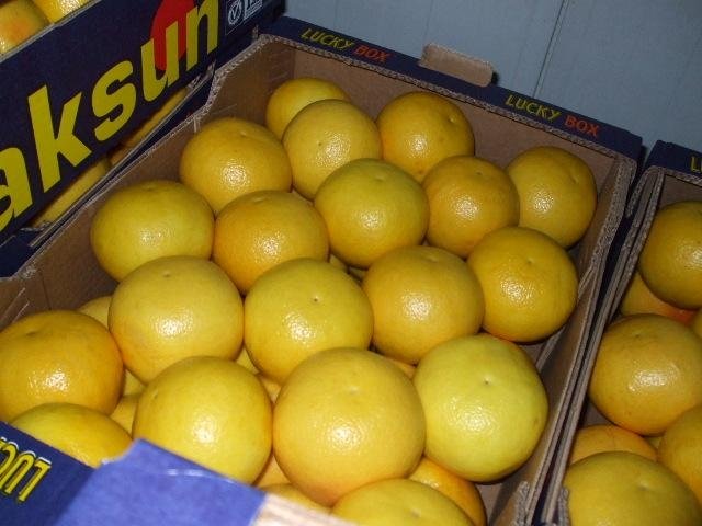 грейпфрут белый