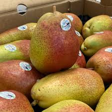 груша форель