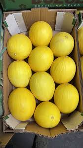 дыня желтая