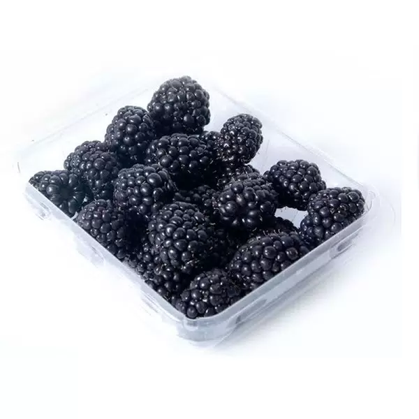 ежевика коррекс 250гр