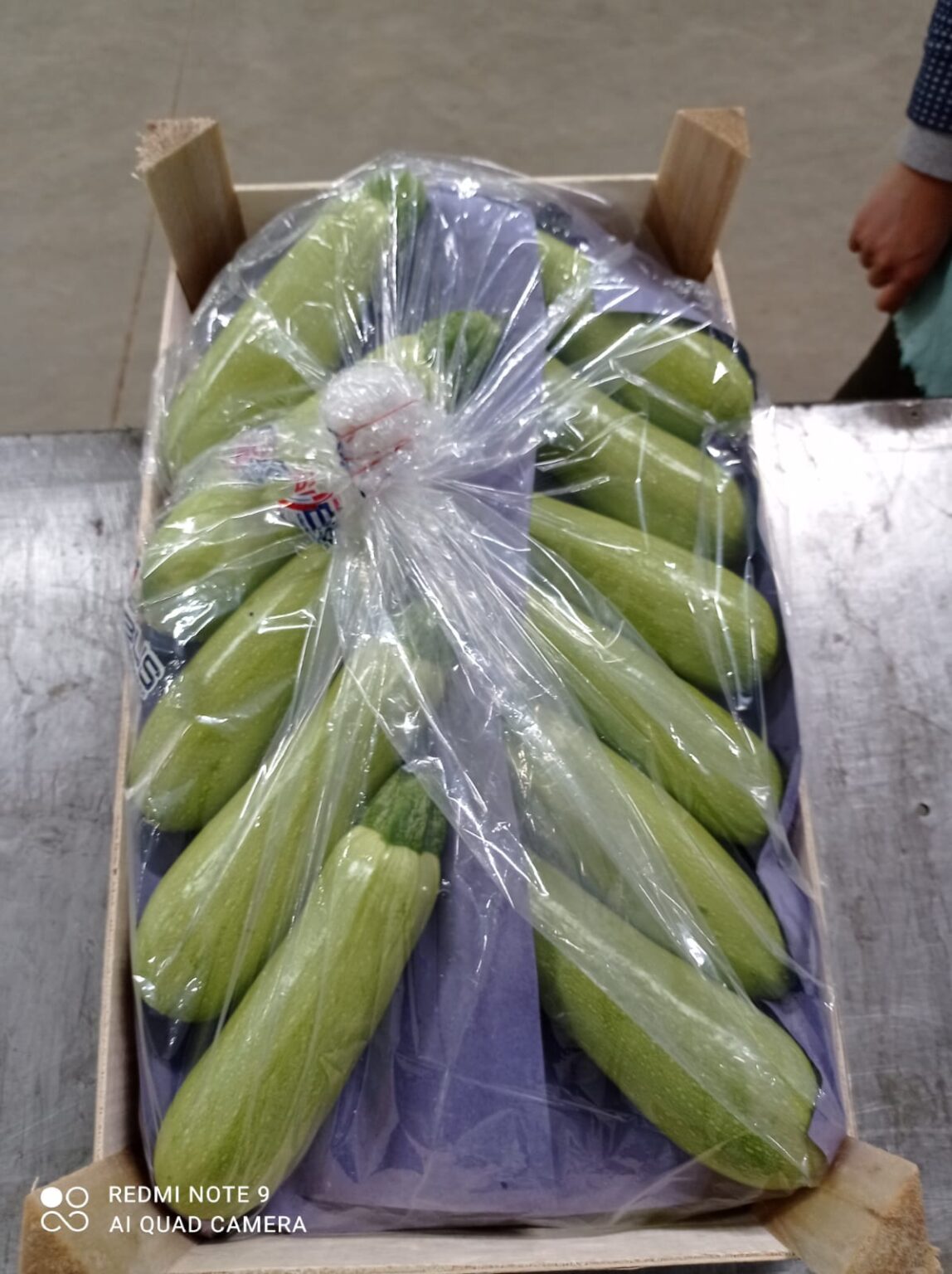 кабачки импорт