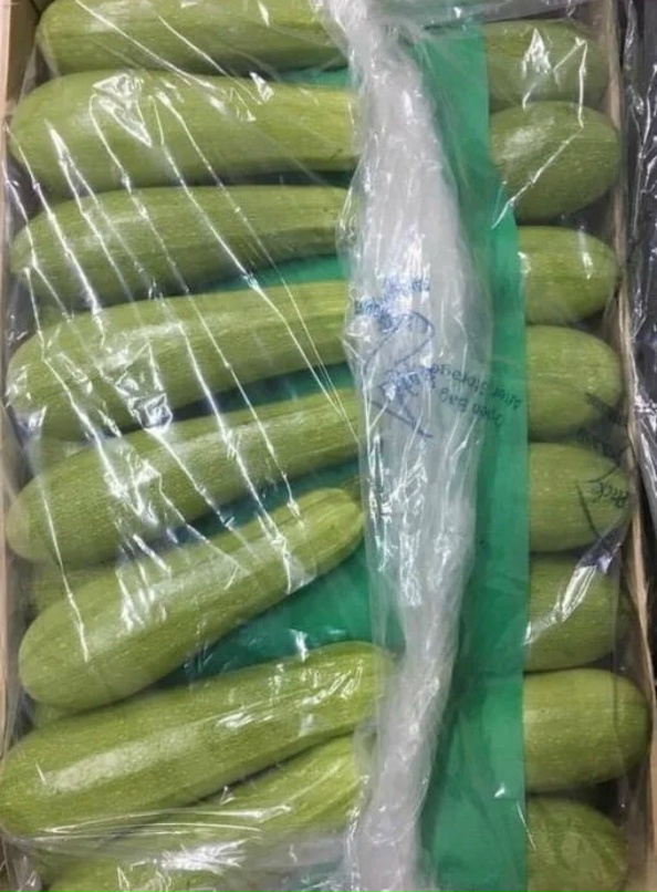 кабачки импорт
