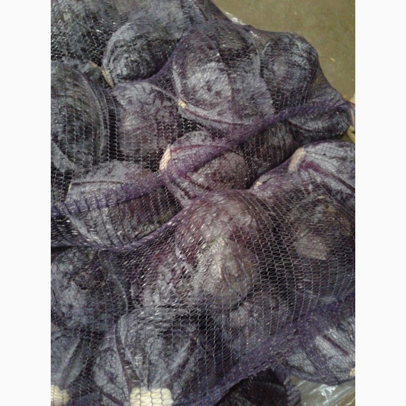 капуста к/к