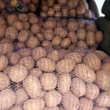 картофель белый отечественный