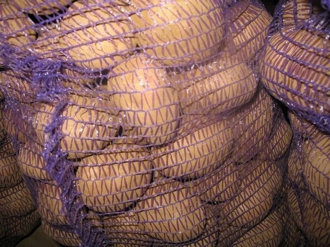 картофель белый мытый