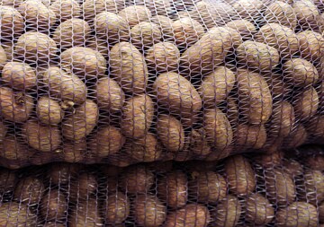 картофель красный отечественный