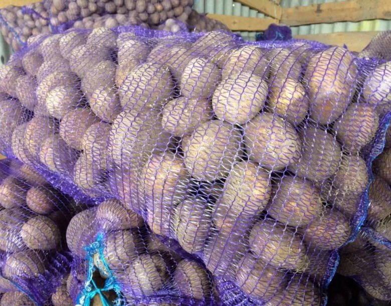 картофель белый отечественный