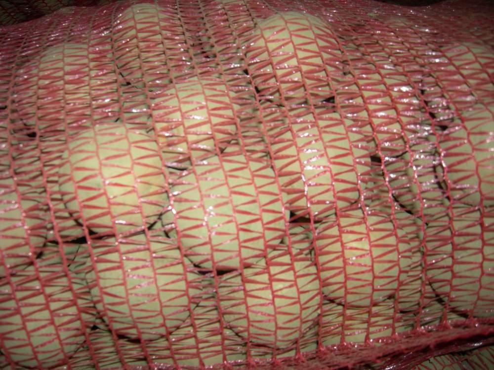 картофель белый отечественный