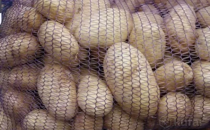 картофель гриль крупный