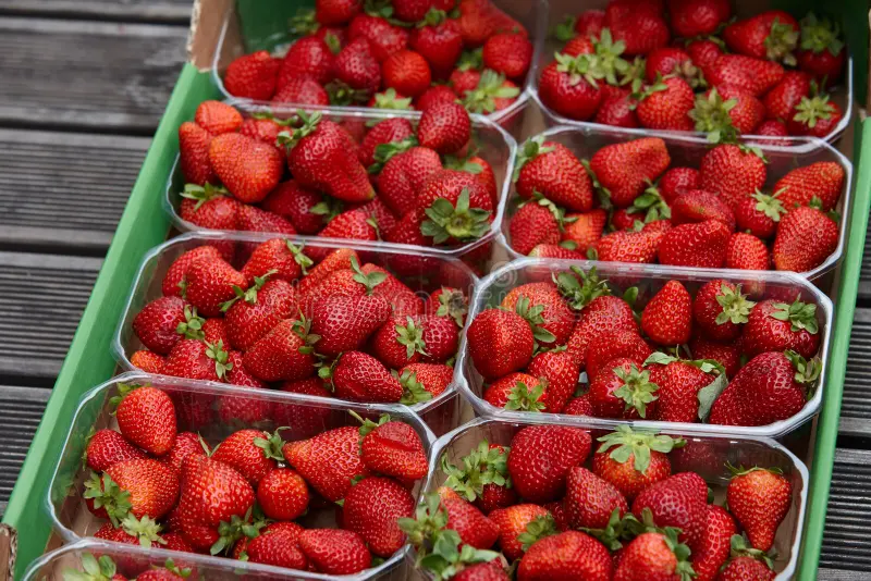 клубника коррекс 250гр