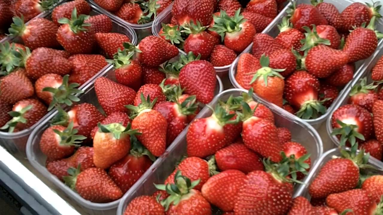 клубника коррекс 250гр