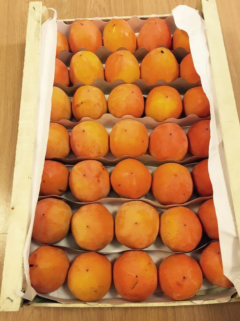 хурма королек