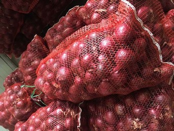 лук репчатый красный