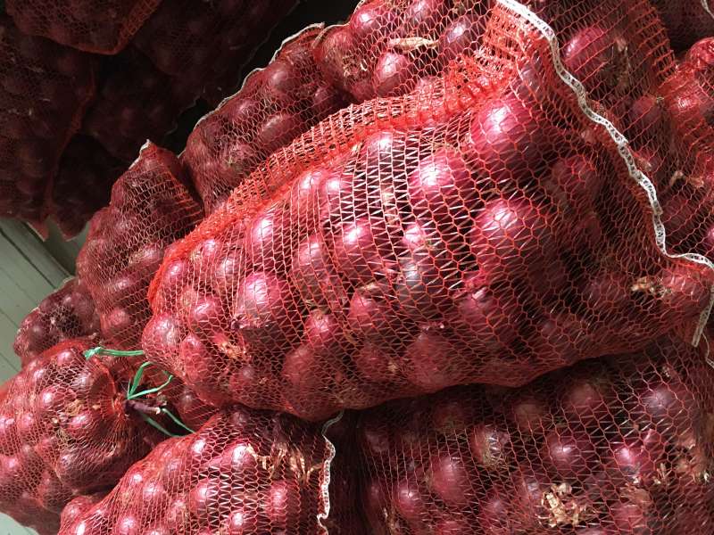 лук репчатый красный