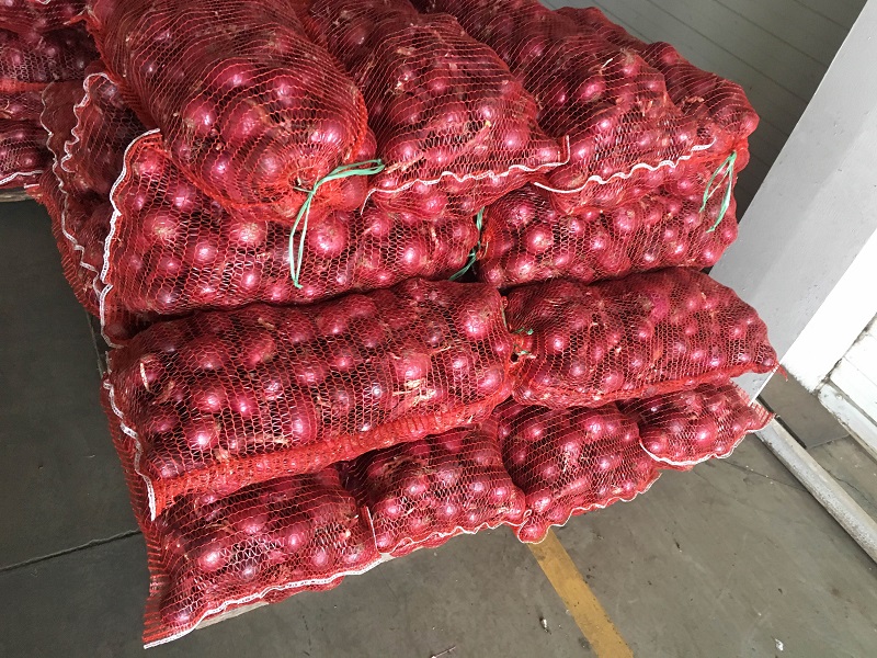 лук репчатый красный