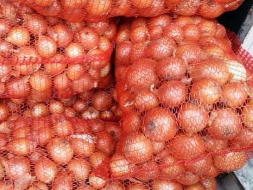 лук репчатый желтый