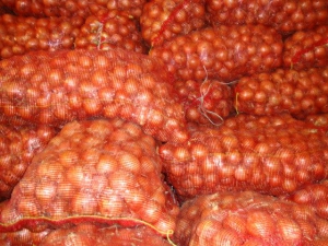 лук репчатый желтый