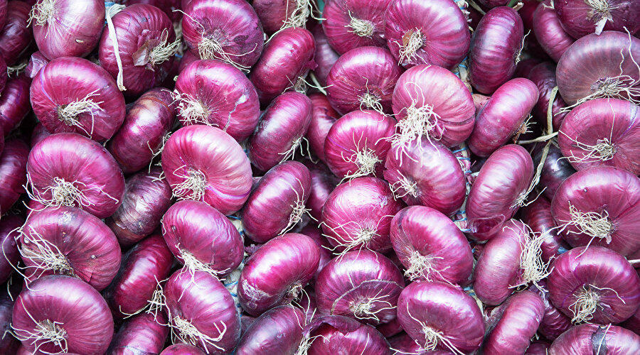 лук ялтинский