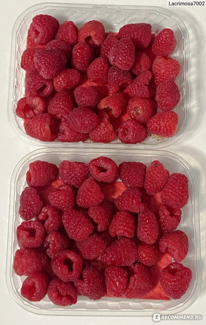 малина коррекс 250гр