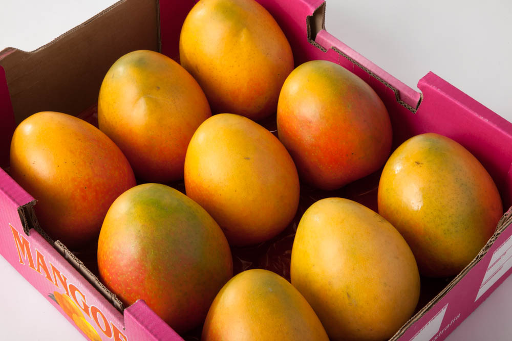 манго австралия