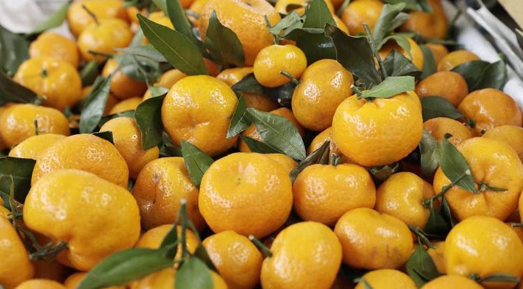 мандарин мини