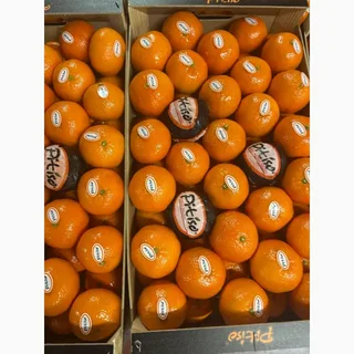 мандарин ветка