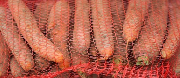 морковь грязная