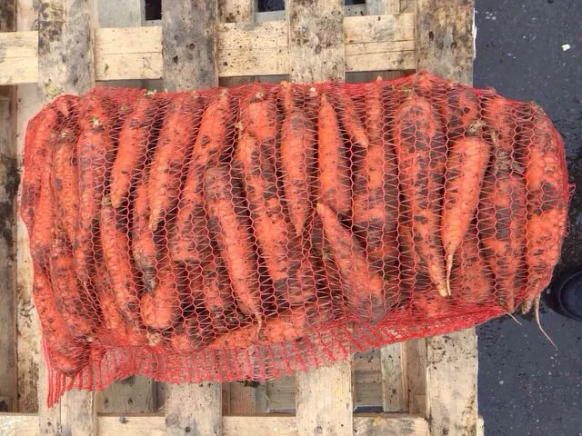 морковь грязная