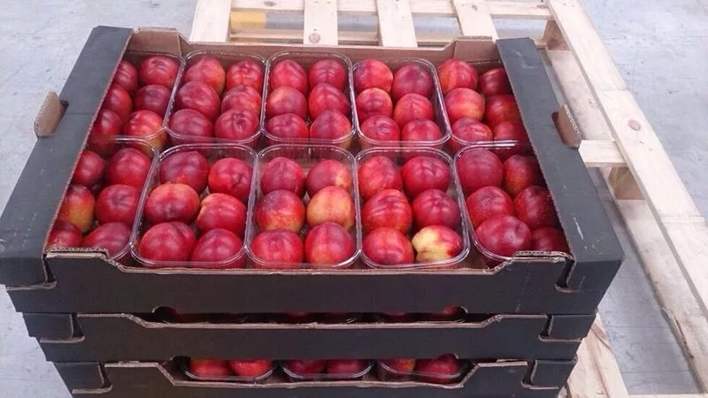 нектарин круглый