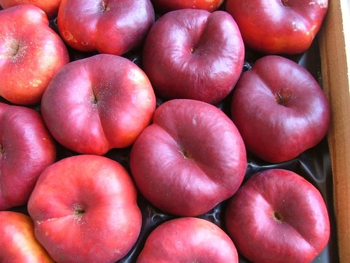 нектарин плоский