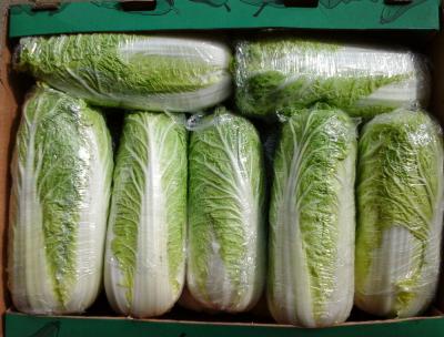 капуста пекинская