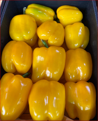 перец сладкий желтый