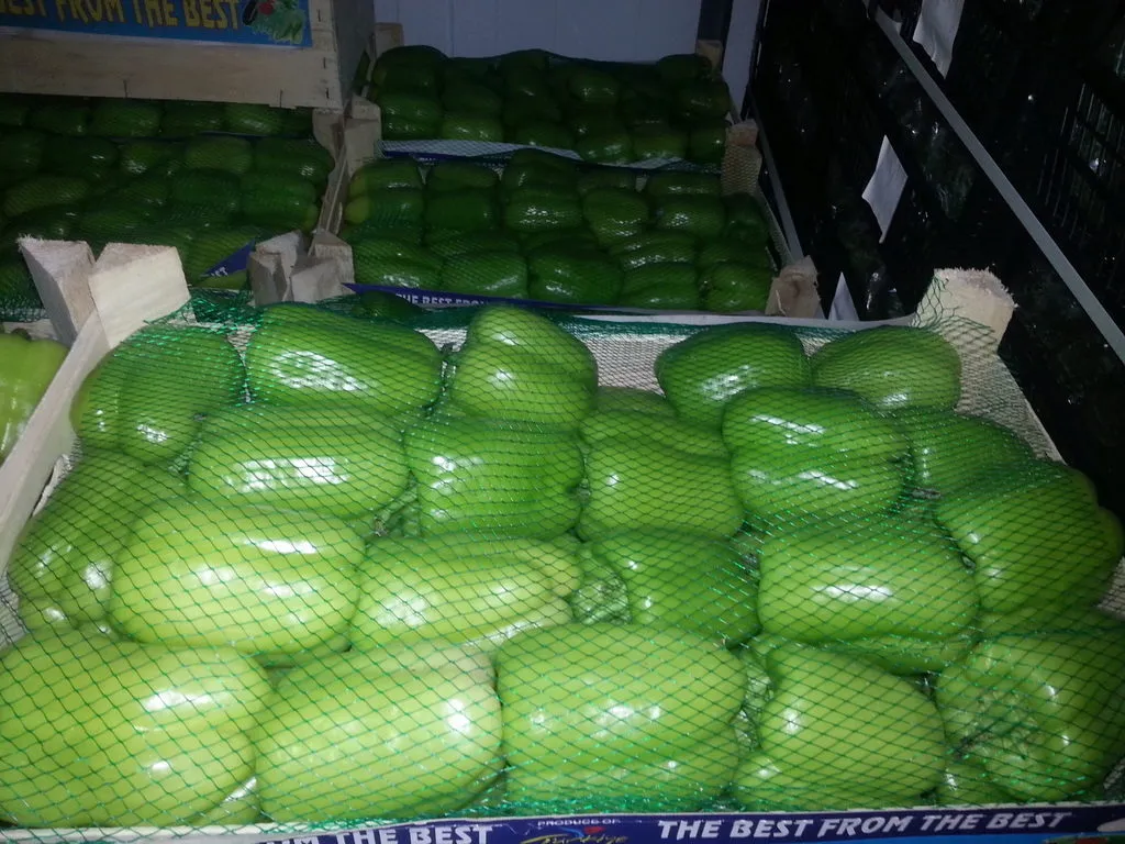 перец ласточка