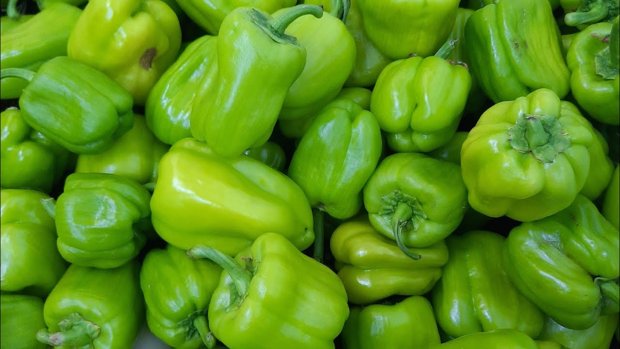 перец ласточка