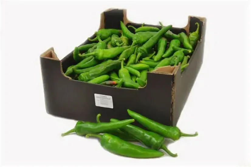 перец чили зеленый