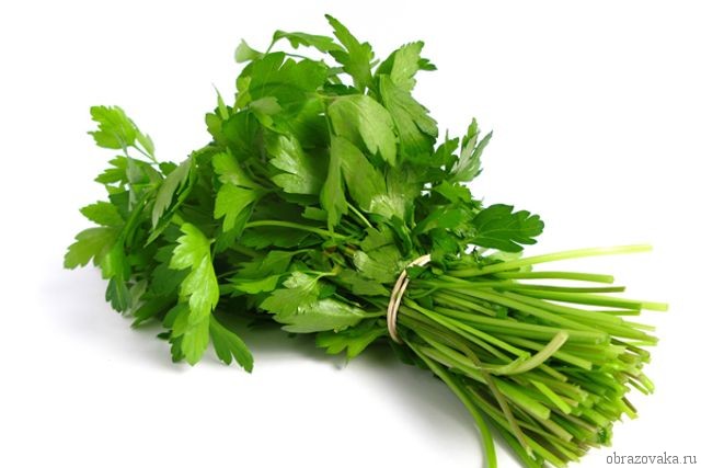 петрушка