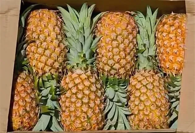 ананас голд