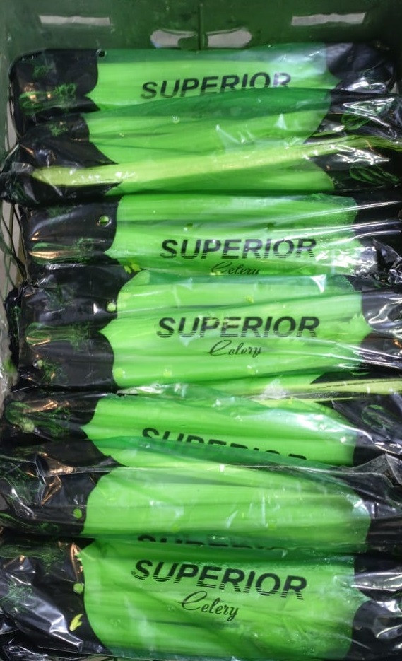 сельдерей стебель