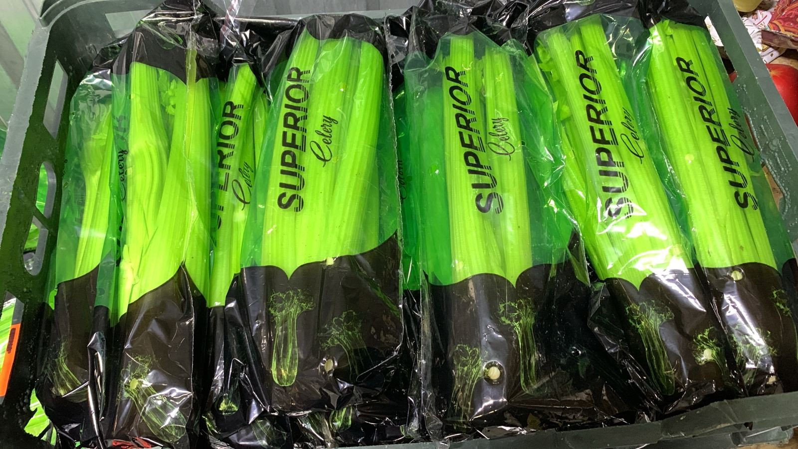 сельдерей стебель