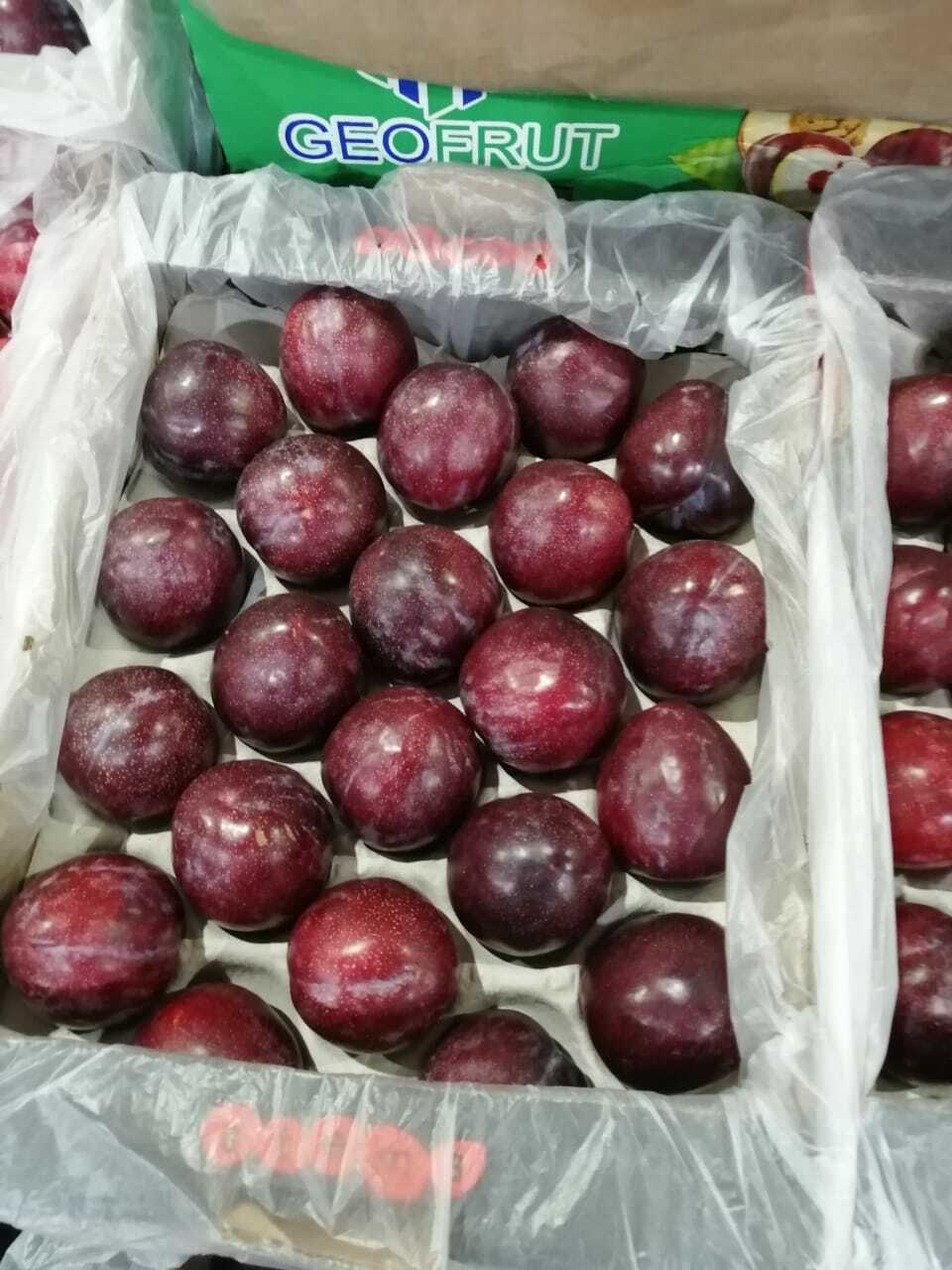 слива черная